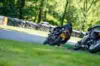 Middle Group Black Bikes